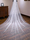 One-tier Classic Style / Lace Wedding Veil Cathedral Veils with Solid / Pattern POLY / Lace