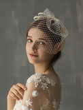 One-tier Stylish Wedding Veil Blusher Veils / Birdcage Veils with Ribbon Bow Tulle