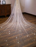 One-tier Classic Style / Lace Wedding Veil Cathedral Veils with Solid / Pattern POLY / Lace
