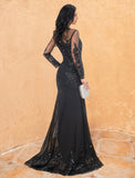 Mermaid Black Dress Plus Size Evening Gown Elegant Dress Formal Halloween Sweep / Brush Train Long Sleeve Jewel Neck Lace with Beading Embroidery