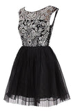 A Line Round Neck Short Prom Dress Homecoming Dress Lace Graduation Dress