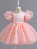 Princess Short / Mini Flower Girl Dress Quinceanera Girls Cute Prom Dress Chiffon with Butterfly Open Back Fit 3-16 Years