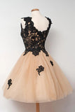 A-line Lace Appliques Prom Dresses Homecoming Dresses Graduation Dresses