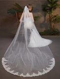 One-tier Lace Wedding Veil Chapel Veils with Appliques Tulle