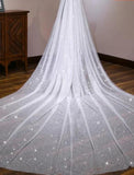 One-tier Wedding Veil Cathedral Veils with Solid Tulle