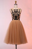 Tulle Appliques Vintage Short Homecoming Dress