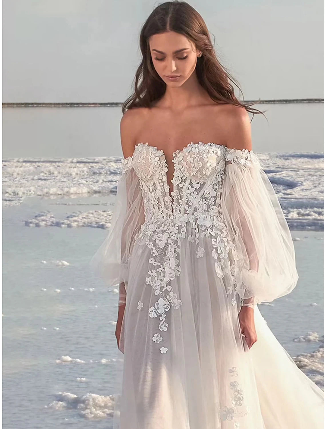 Beach Formal Wedding Dresses A-Line Off Shoulder Long Sleeve Court Train Lace Bridal Gowns With Appliques