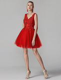 A-Line Party Dress Homecoming Short / Mini Sleeveless V Neck Lace Over Tulle with Crystals Appliques
