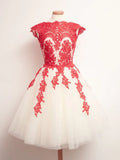 A-line Round Neck Lace Prom Dresses Lace Formal Dresses