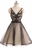 A-line Tulle Lace V-neck Short Prom Dress