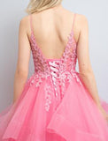 A-Line Prom Dresses Princess Dress Formal Floor Length Sleeveless V Neck Tulle Backless with Pleats Appliques