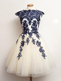 A-line Round Neck Short Lace Prom Dresses Homecoming Dress