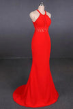 Mermaid Excellent Halter Open Back Long Prom Dress