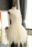 A-line Tulle Short Prom Dresses Homecoming Dresses