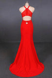 Mermaid Excellent Halter Open Back Long Prom Dress