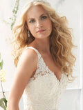 Engagement Open Back Sexy Formal Wedding Dresses Court Train A-Line Sleeveless V Neck Lace With