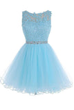 Scoop Short Tulle Homecoming Dress