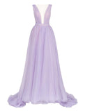 A-Line Evening Gown Beautiful Back Dress Engagement Court Train Sleeveless V Neck Tulle with Bow(s) Pleats