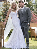 Wedding Dresses V Neck Court Train Lace Tulle Lace Over Satin Spaghetti Strap Beautiful Back with Appliques