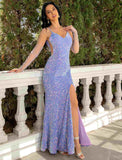 Sheath / Column Prom Dresses Sparkle & Shine Dress Formal Floor Length Sleeveless V Neck Sequined with Sequin Slit